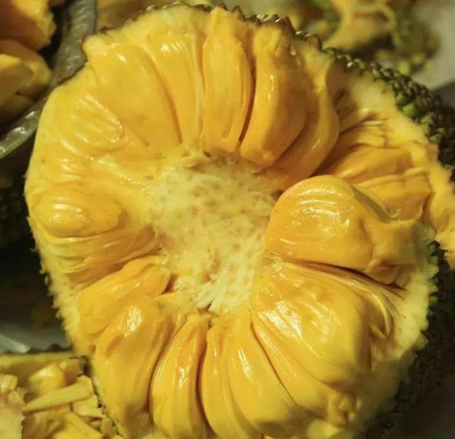 侠骨仁心（国语版） 推荐视频