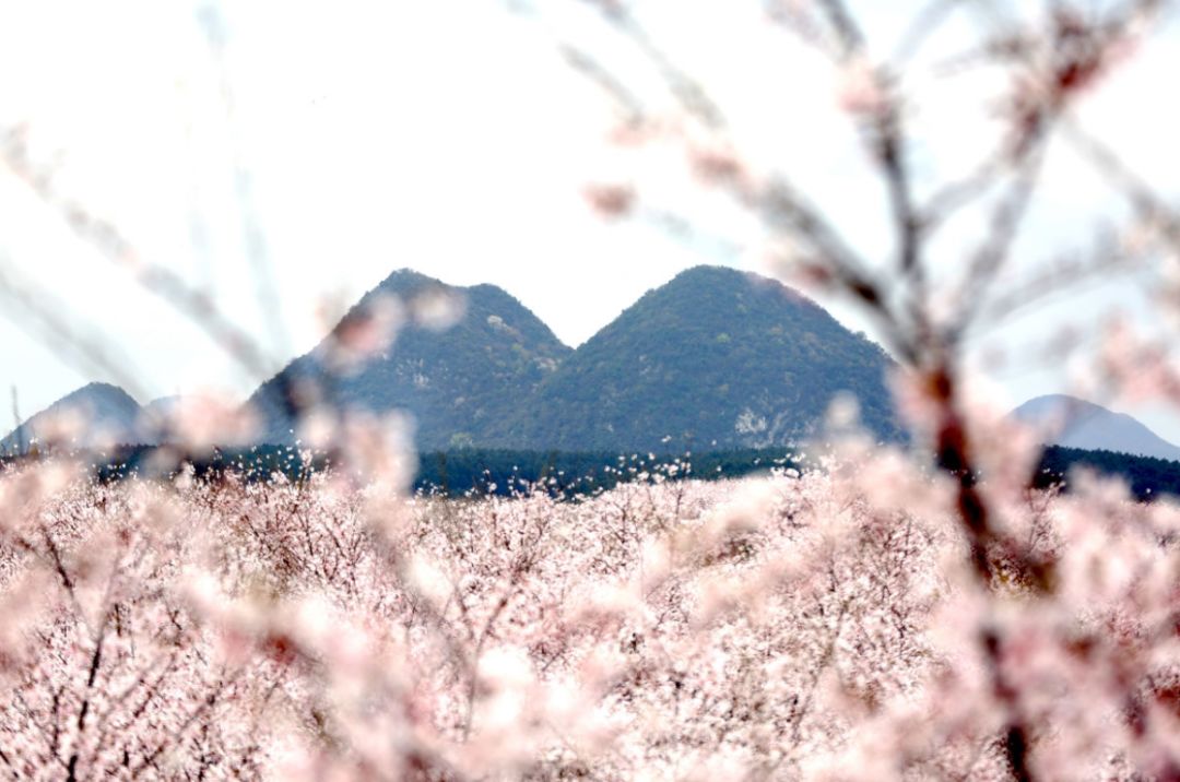 俑之城 推荐视频