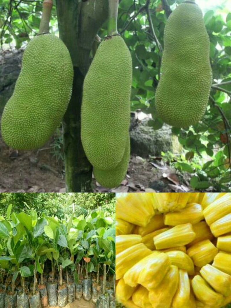 你会在那里吗？ 推荐视频