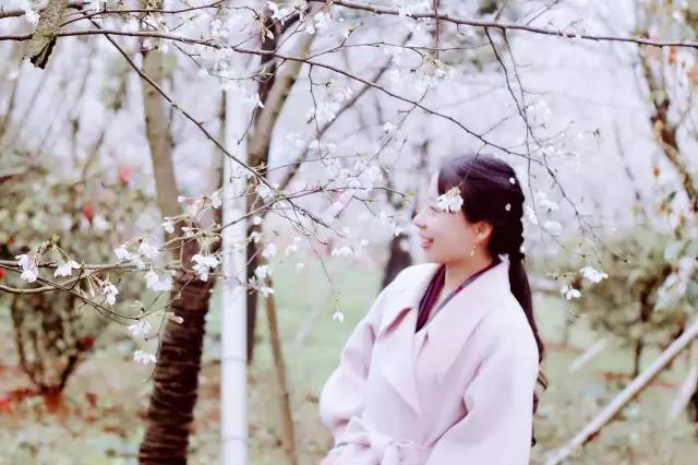 侠影神剑 推荐视频