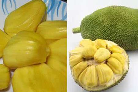 仙人坝的红衣兜 推荐视频