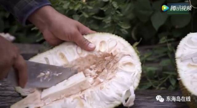 你的幸运日 推荐视频