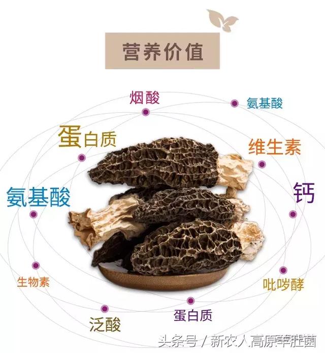 危机22分钟 推荐视频