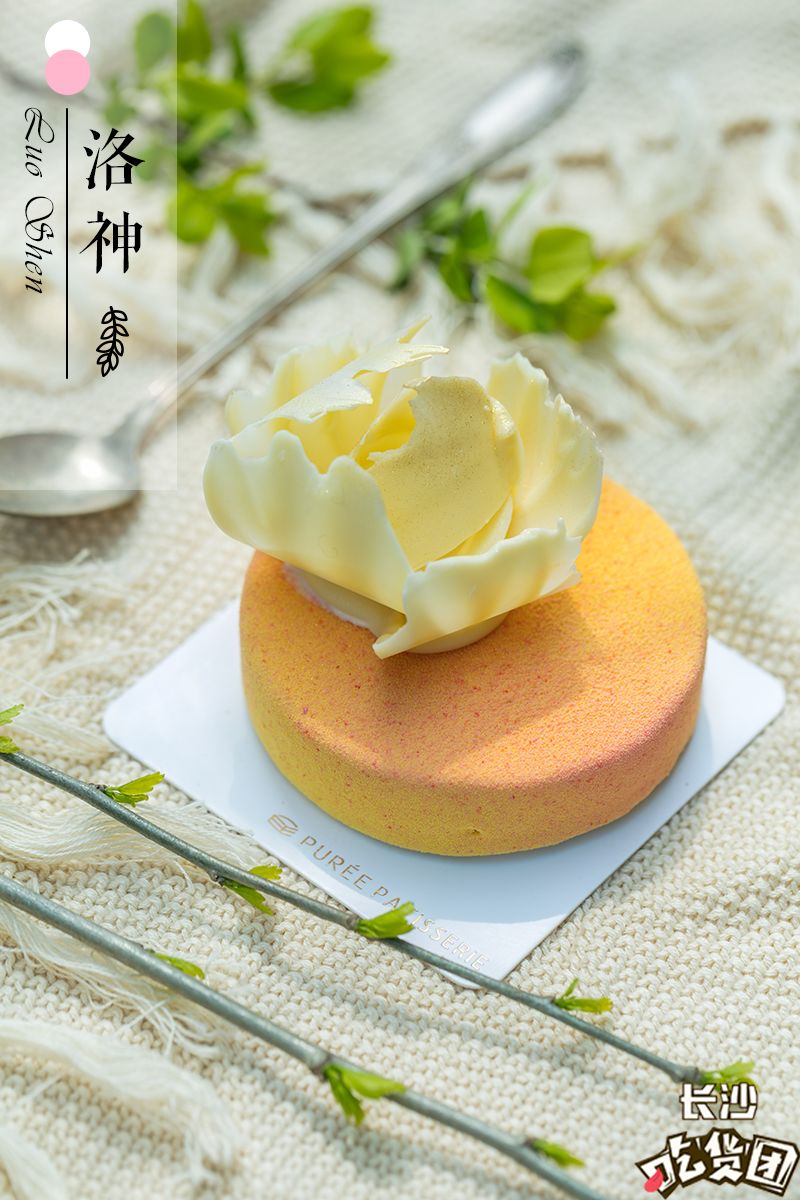 冤情必报 推荐视频