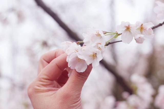呖咕呖咕新年财 推荐视频