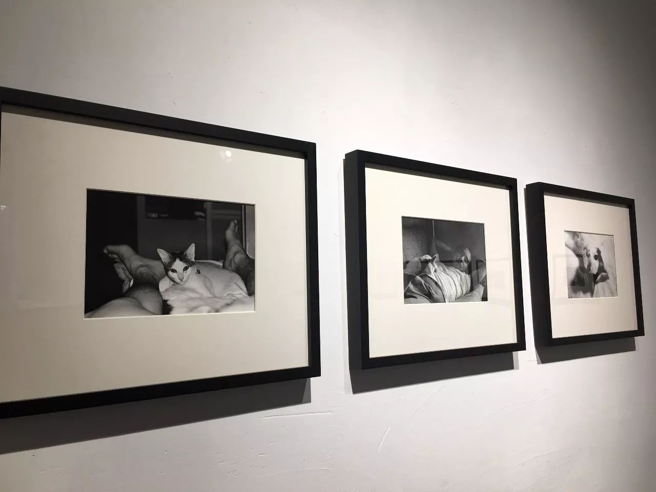 另一个男人 产品图片