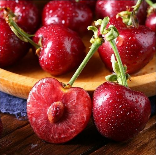 咕噜咕噜美人鱼