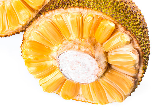 圣维克多镇的公鸡 推荐视频