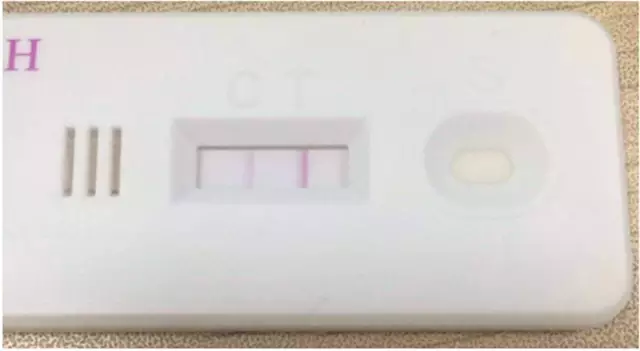 农场小牛牛：偷拍风波 推荐视频