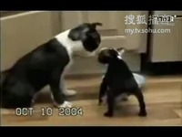 哦！文姬 产品图片