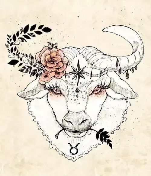 五步七招 视频主图