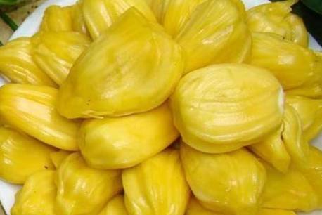 伍德肖克的偏执