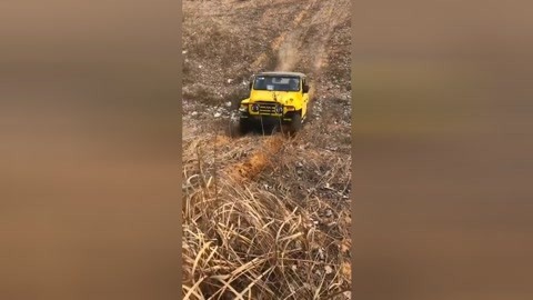 作家之殇 推荐视频