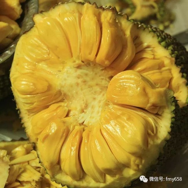 僵尸小屁孩 产品图片