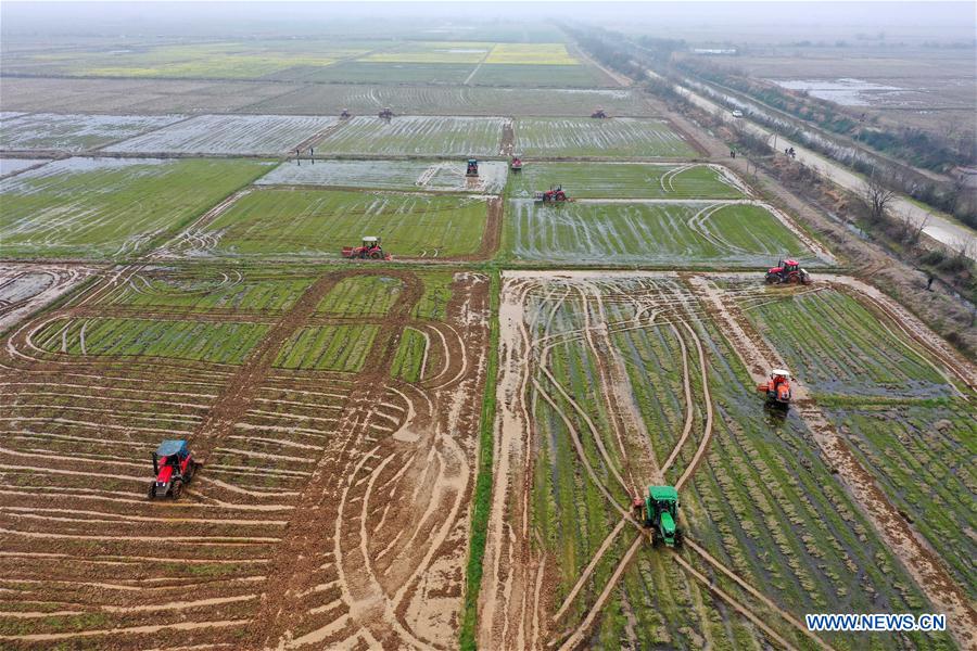 僵尸新战士 普通话版 产品图片