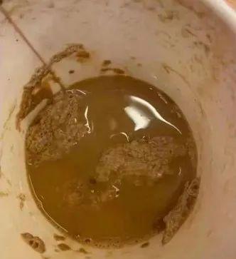 伊甸园之海 推荐视频