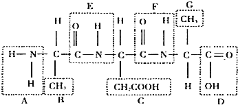 儿子、孙子和种子 推荐视频