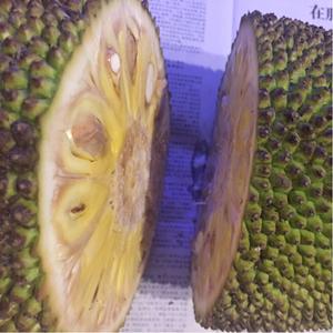 哆啦A梦：大雄的地球交响乐 推荐视频