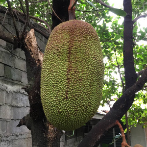 古墓丽影：源起之战（原声版） 推荐视频