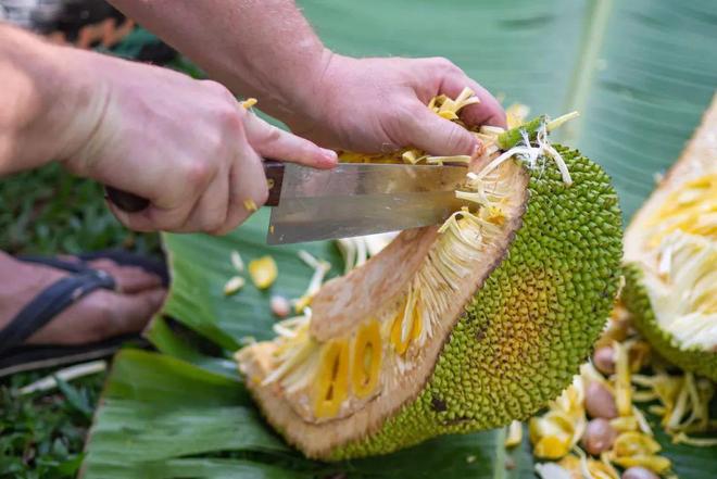 从暗处来 推荐视频