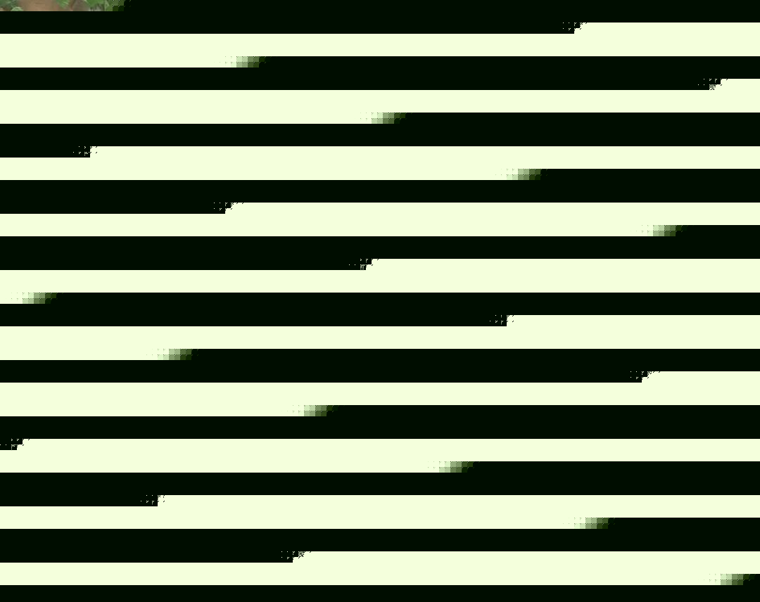 各有少年时 推荐视频