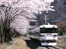 伤疤的故事 推荐视频